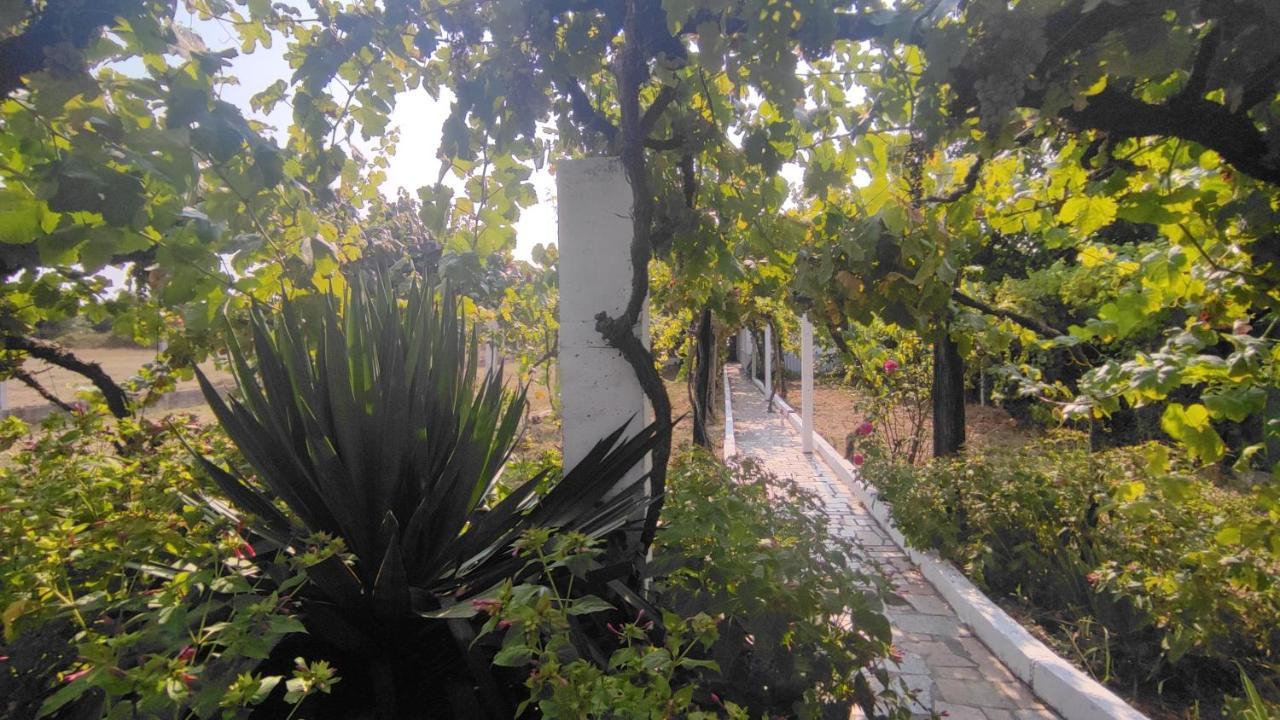 Villa Morin Grey Casa En El Corazon De La Ribeira Sacra Monforte De Lemos Exterior foto