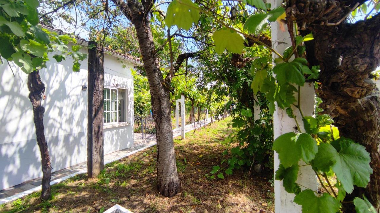 Villa Morin Grey Casa En El Corazon De La Ribeira Sacra Monforte De Lemos Exterior foto